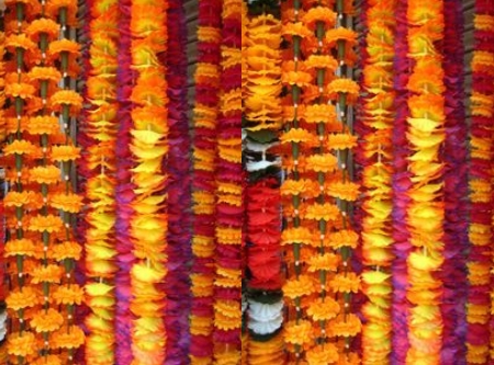 String Of Ladis