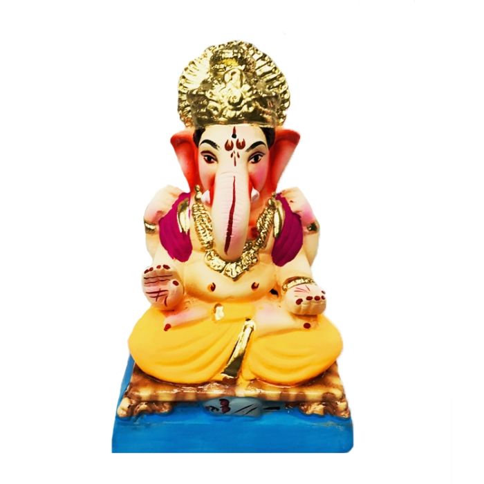 Immersion Ganesh 7