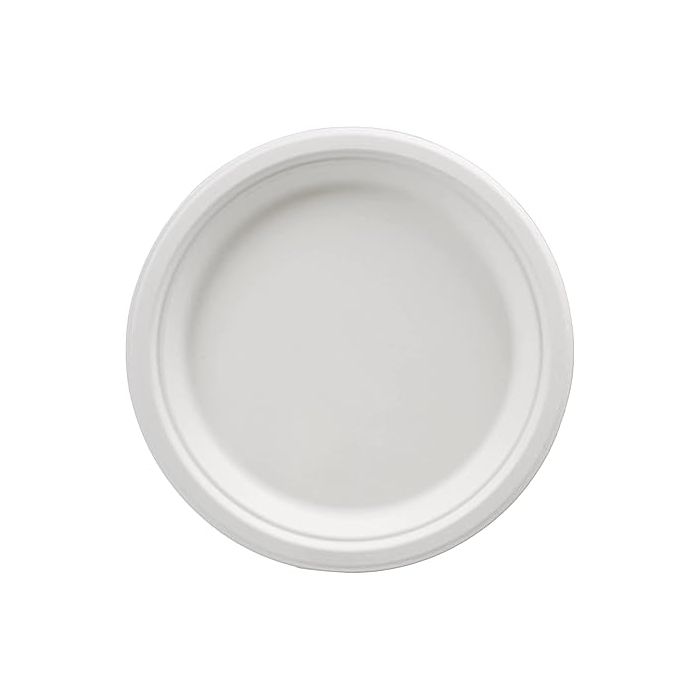 Biodegradable Plate, White 26cm 10