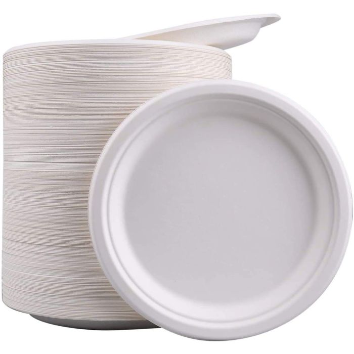 Biodegradable Disposable Plates23cm - Pack of 50