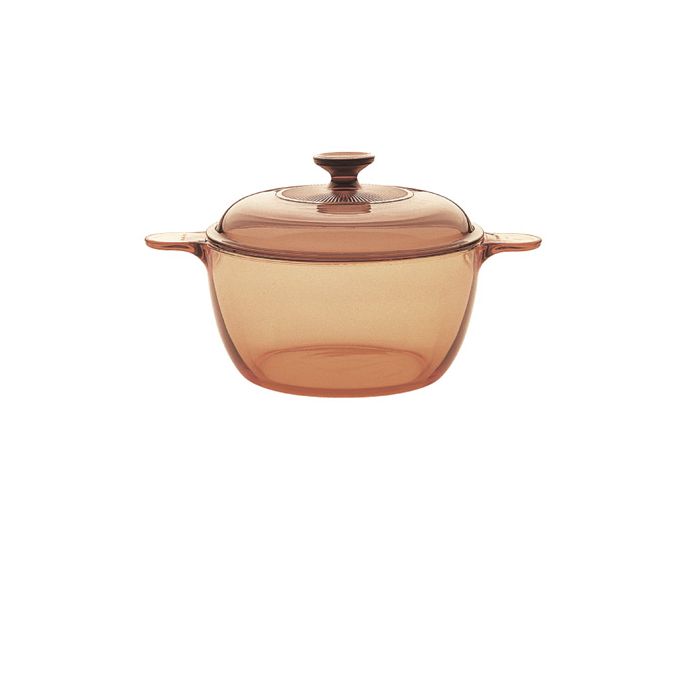Visions Covered Cookpot 2.5L