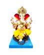 Immersion Ganesh 18