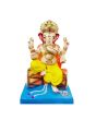 Immersion Ganesh 18