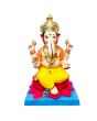 Immersion Ganesh 18