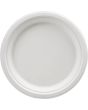 Biodegradable Plate, White 26cm 10
