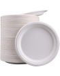 Biodegradable Disposable Plates23cm - Pack of 50