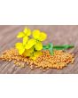 Mustard Seeds Yellow 100g