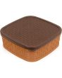 Plastic Square Spice Box (Masala Dabba)