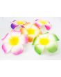 Floating Flower - Large - Multi Colour - Pack of 5