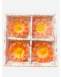 Coloured Daisy Flower Floating candle, 3 packs x 4 Candles in each pack - Mixed Packs