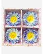Coloured Daisy Flower Floating candle, 3 packs x 4 Candles in each pack - Mixed Packs