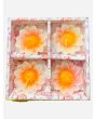 Coloured Daisy Flower Floating candle, 3 packs x 4 Candles in each pack - Mixed Packs