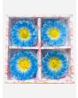 Coloured Daisy Flower Floating candle, 3 packs x 4 Candles in each pack - Mixed Packs