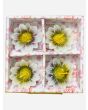 Coloured Daisy Flower Floating candle, 3 packs x 4 Candles in each pack - Mixed Packs