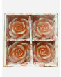 Coloured Rose Floating candle, 3 packs x 4 Candles in each pack - Mixed Packs