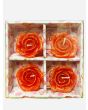 Coloured Rose Floating candle, 3 packs x 4 Candles in each pack - Mixed Packs