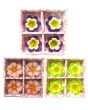 Coloured Flower Floating candle, 3 packs x 4 Candles in each pack - Mixed Packs