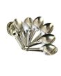 Stainless Steel Spice Box (Masala Dabba) Spoons 6.5cm (Pack of 7)