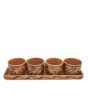 Clay Pickle Set (4 Compartment)
