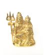 Brass Gold Finish Shiva Family