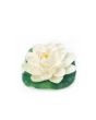 Floating Lotus Flower - Medium- White - Single