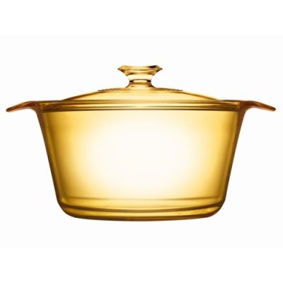 Visions Flair Cookpot 5.5L with Glass Cover