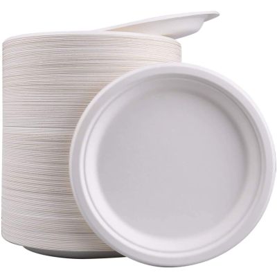 Biodegradable Disposable Plates23cm - Pack of 50