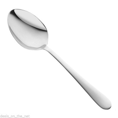 Windsor Stainless Steel Mirror Finished Serving Spoon