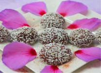 Coconut Chocolate Balls