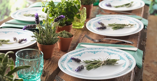 Garden Lace
